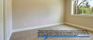 carpet cleaning