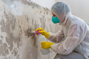 Mold Remediation